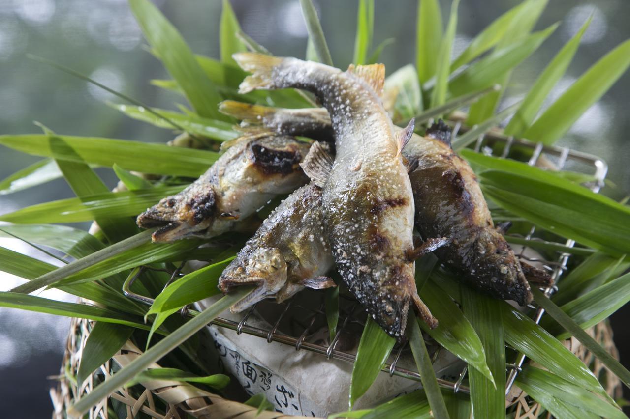 Suimeikan Gero Kültér fotó A pair of the frogs